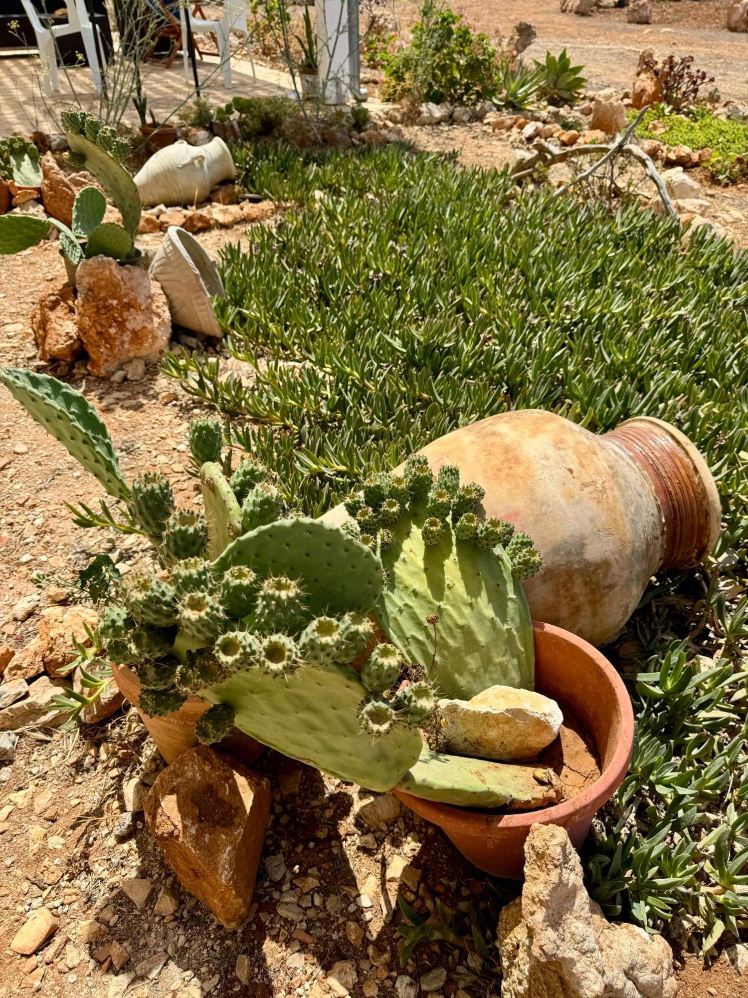 Aria Case Vacanze Favignana Buitenkant foto