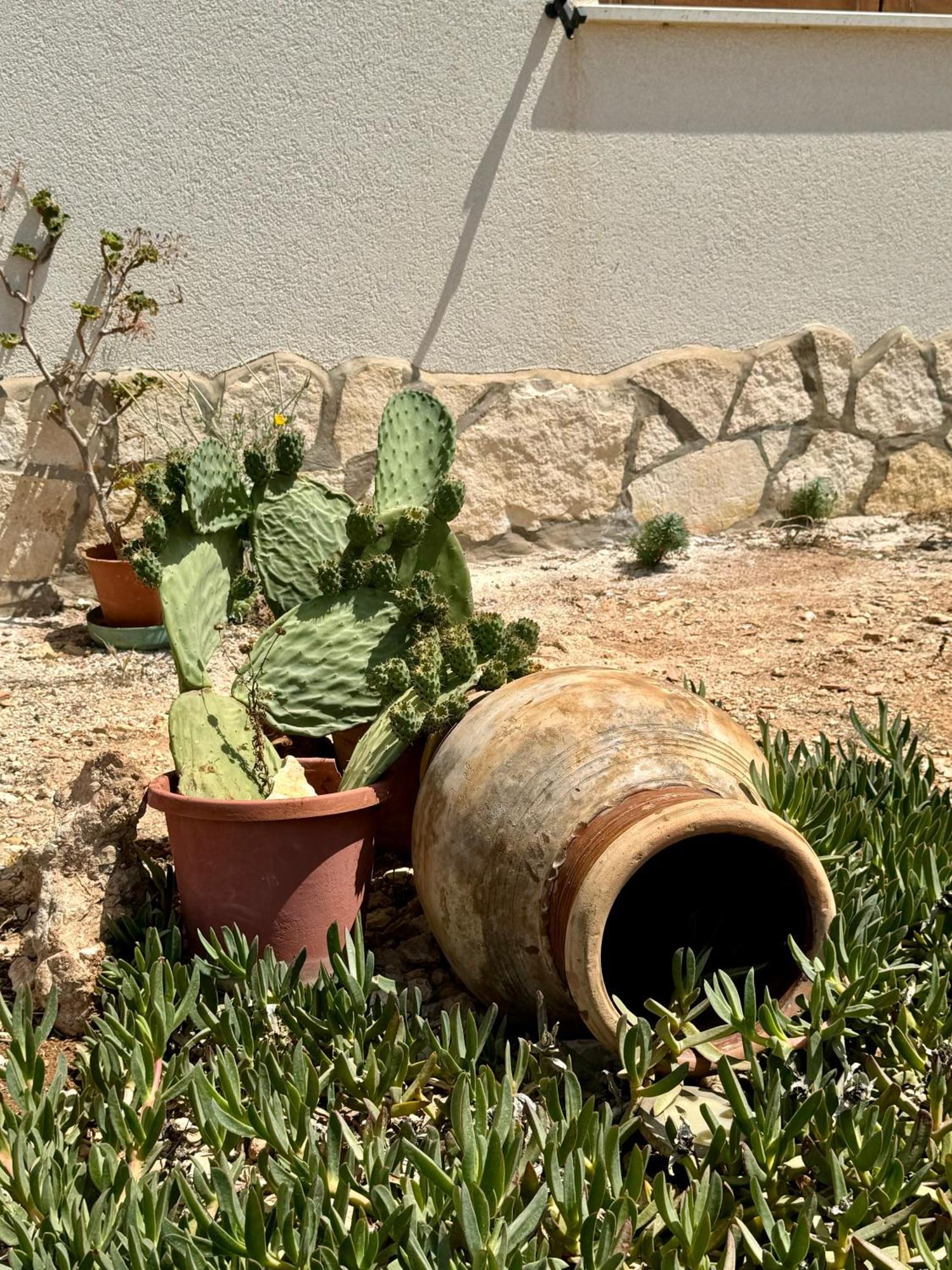 Aria Case Vacanze Favignana Buitenkant foto